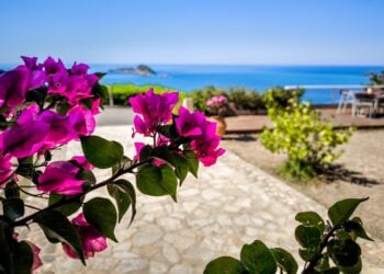 (Φωτ.: ΓΙΩΡΓΟΣ ΚΟΝΤΑΡΙΝΗΣ / EUROKINISSI)