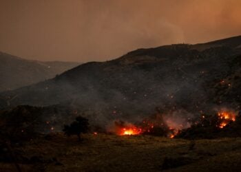 (Φωτ.: ΓΙΑΝΝΗΣ ΑΓΓΕΛΑΚΗΣ/ EUROKINISSI)