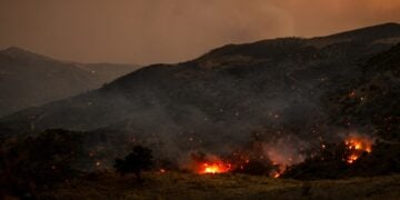 (Φωτ.: ΓΙΑΝΝΗΣ ΑΓΓΕΛΑΚΗΣ/ EUROKINISSI)