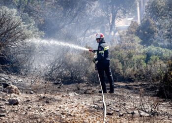 Πυρκαγιά στη περιοχή του Ρεθύμνου στην Κρήτη (ΣΥΝΕΡΓΑΤΗΣ/ EUROKINISSI)