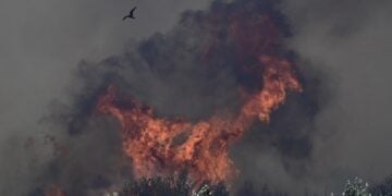 Πυρκαγιά σε αγροτοδασικη έκταση την ευρύτερη περιοχή της Δομβραίνας στην Βοιωτία (φωτ.: ΜΙΧΑΛΗΣ ΚΑΡΑΓΙΑΝΝΗΣ/EUROKINISSI)