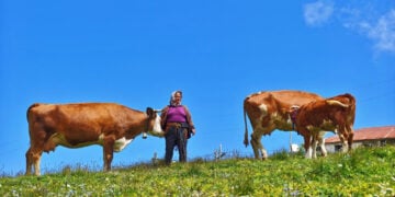Μια οικεία εικόνα για τους Έλληνες του Πόντου. Άλλωστε και η ποντιακή μούσα έχει υμνήσει τη ζωή στα παρχάρια (φωτ.: Anadolu)