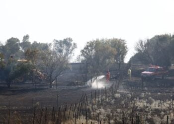 Εικόνα από το σημείο της φωτιάς στην Πυλαία της Θεσσαλονίκης (φωτ.: Ραφαήλ Γεωργιάδης/ Eurokinissi)