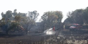 Εικόνα από το σημείο της φωτιάς στην Πυλαία της Θεσσαλονίκης (φωτ.: Ραφαήλ Γεωργιάδης/ Eurokinissi)