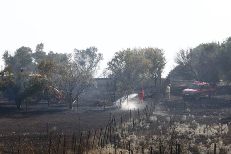 Εικόνα από το σημείο της φωτιάς στην Πυλαία της Θεσσαλονίκης (φωτ.: Ραφαήλ Γεωργιάδης/ Eurokinissi)