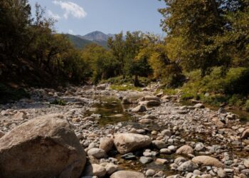 Μονοπάτι για βάθρες στη Σαμοθράκη, το πανέμορφο νησί μας στο Θρακικό Πέλαγος (φωτ.: 
ΑΠΕ-ΜΠΕ/Παναγιώτης Ρόντος)