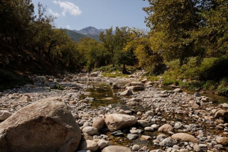 Μονοπάτι για βάθρες στη Σαμοθράκη, το πανέμορφο νησί μας στο Θρακικό Πέλαγος (φωτ.:
ΑΠΕ-ΜΠΕ/Παναγιώτης Ρόντος)