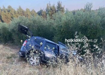 (Πηγή: xalkidikinews.gr)