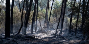 Καμένη γη μετά τη δασική πυρκαγιά στο χωριό Αϊγουαμούρθια, στην Ταραγόνα. Η φωτιά ανάγκασε 9.000 κατοίκους γειτονικών οικισμών να παραμείνουν στα σπίτια τους για λόγους ασφαλείας (φωτ.: EPA / Alex Lopez)