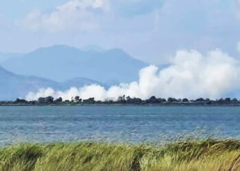 Καπνός από τη φωτιά στη Στρογγυλή Άρτας, Πέμπτη 2 Ιουλίου 2026 (φωτ.: Facebook / Fire & Weather Hellas)