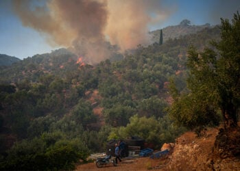 Φωτιά στο Πλωμάρι της Λέσβου, Τετάρτη 29 Ιουλίου 2026 (φωτ.: EUROKINISSI / Παναγιώτης Μπαλάσκας)