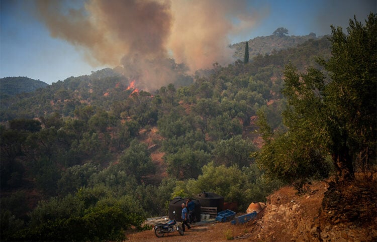 Φωτιά στο Πλωμάρι της Λέσβου, Τετάρτη 29 Ιουλίου 2026 (φωτ.: EUROKINISSI / Παναγιώτης Μπαλάσκας)