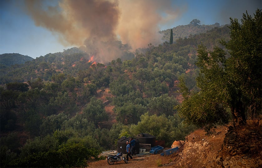 Φωτιά στο Πλωμάρι της Λέσβου, Τετάρτη 29 Ιουλίου 2026 (φωτ.: EUROKINISSI / Παναγιώτης Μπαλάσκας)