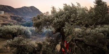 Πυρκαγιά στην περιοχή Κρύα Βρύση στο Ρέθυμνο της Κρήτης, Τετάρτη 29 Ιουλίου 2026 (φωτ.: EUROKINISSI / Γιάννης Αγγελάκης)