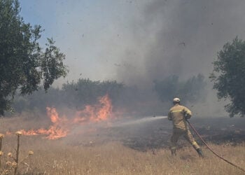 (Φωτ.: EUROKINISSI / Μιχάλης Καραγιάννης)