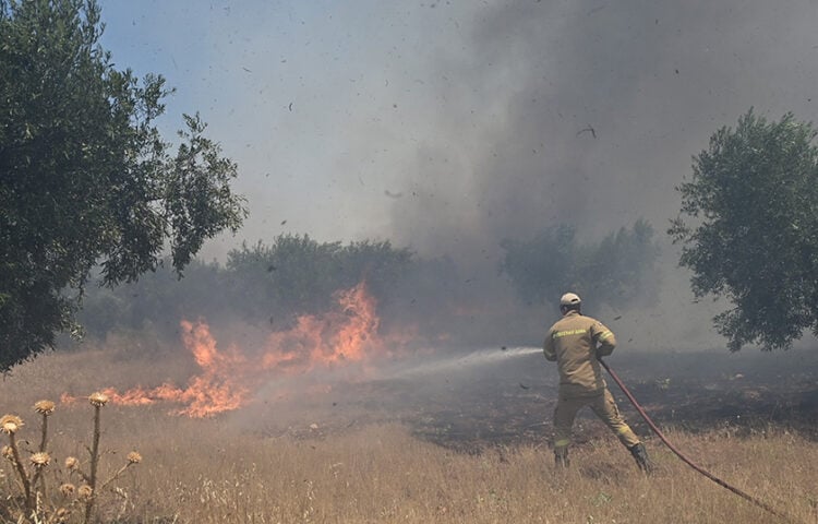 (Φωτ.: EUROKINISSI / Μιχάλης Καραγιάννης)