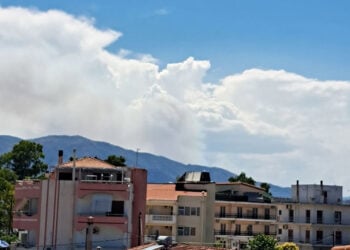 Καπνός από τη φωτιά στο Καλαπόδι Φθιώτιδας, Τετάρτη 1η Ιουλίου 2026 (πηγή: Facebook / Πυρκαγιά Ενημέρωση)