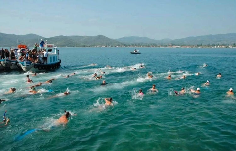 Στιγμιότυπο από τον 14ο Κολυμβητικό Διάπλου Μικρασιατικής Μνήμης στον Κόλπο της Γέρας, το 2025(φωτ.: Facebook / Ada Zafeirelli)