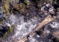 Κρανίου τόπος στη Λητή Θεσσαλονίκης, μία μετά μετά τη φονική πυρκαγιά που ξέσπασε στο Δερβένι και επεκτάθηκε. Τετάρτη 1 Ιουλίου 2026 (φωτ.: EUROKINISSI /Βασίλης Βερβερίδης)
