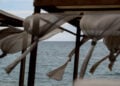 Αέρας πριν από την καταιγίδα (φωτ.: EUROKINISSI / Αντώνης Νικολόπουλος)