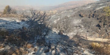 Καμένη έκταση μετά τη φωτιά που ξέσπασε στο νησί της Πάρου την Τρίτη 28 Ιουλίου 2026 (φωτ.: ΑΠΕ-ΜΠΕ / parianostypos.gr / STR)
