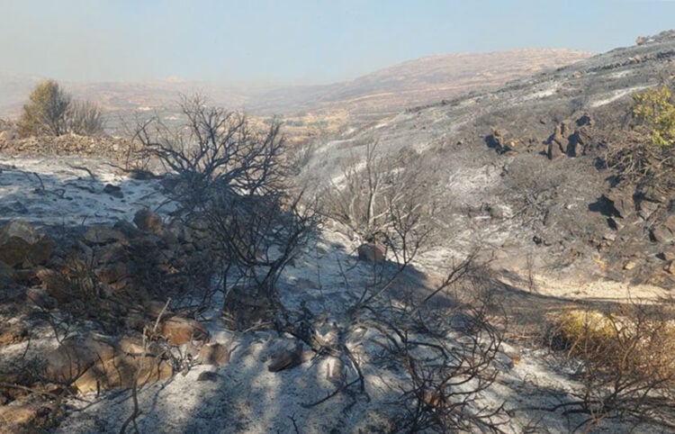 Καμένη έκταση μετά τη φωτιά που ξέσπασε στο νησί της Πάρου την Τρίτη 28 Ιουλίου 2026 (φωτ.: ΑΠΕ-ΜΠΕ / parianostypos.gr / STR)