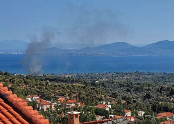 Καπνός από τη φωτιά στην Εύβοια, στα Πολιτικά. Παρασκευή 17 Ιουλίου 2026 (φωτ.: facebook / Πυρκαγιά Ενημέρωση / Thanasis Vavouliotis)