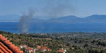 Καπνός από τη φωτιά στην Εύβοια, στα Πολιτικά. Παρασκευή 17 Ιουλίου 2026 (φωτ.: facebook / Πυρκαγιά Ενημέρωση / Thanasis Vavouliotis)