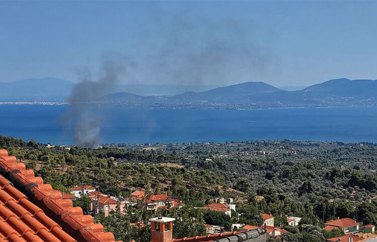 Καπνός από τη φωτιά στην Εύβοια, στα Πολιτικά. Παρασκευή 17 Ιουλίου 2026 (φωτ.: facebook / Πυρκαγιά Ενημέρωση / Thanasis Vavouliotis)