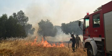 (Φωτ.: EUROKINISSI / Τατιάνα Μπόλαρη)