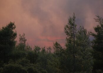 (Φωτ.: ΔΑΝΑΗ ΔΑΥΛΟΠΟΥΛΟΥ/ EUROKINSSI)