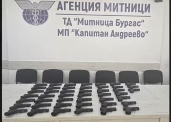 Τα όπλα που εντοπίστηκαν στο τουρκικό όχημα (φωτ.: Γρ. Τύπου Οργανισμού Τελωνείων Βουλγαρίας)