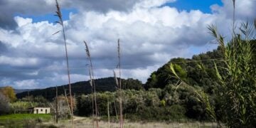 Εικόνα από την περιοχή της Αττικής  (φωτ. αρχείου: Γιώργος Κονταρίνης/ EUROKINISSI)