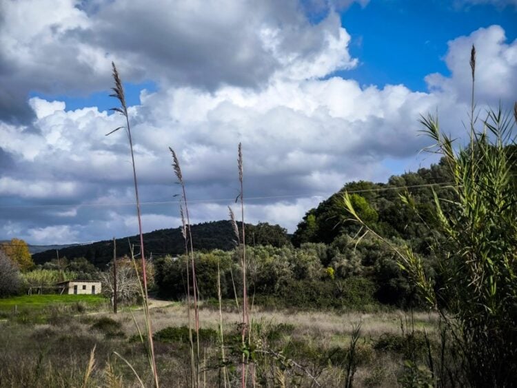 Εικόνα από την περιοχή της Αττικής  (φωτ. αρχείου: Γιώργος Κονταρίνης/ EUROKINISSI)