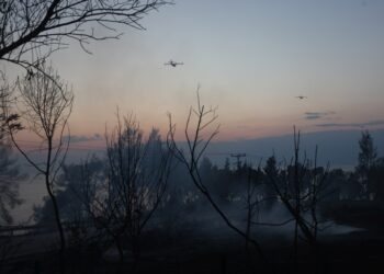 (Φωτ.: Βασίλης Βερβερίδης/ ΜΟΤΙΟΝΤΕΑΜ)