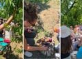 (Εικ.: instagram.com/agriview_gr/)