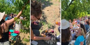 (Εικ.: instagram.com/agriview_gr/)