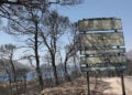 (Φωτ.: EUROKINISSI / Δανάη Δαυλοπούλου)