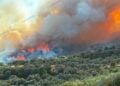 H φωτιά καταπίνει δασική έκταση στην Αιγιαλεία (φωτ.: patrapress.gr)