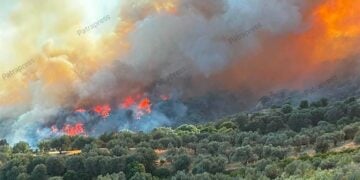 H φωτιά καταπίνει δασική έκταση στην Αιγιαλεία (φωτ.: patrapress.gr)