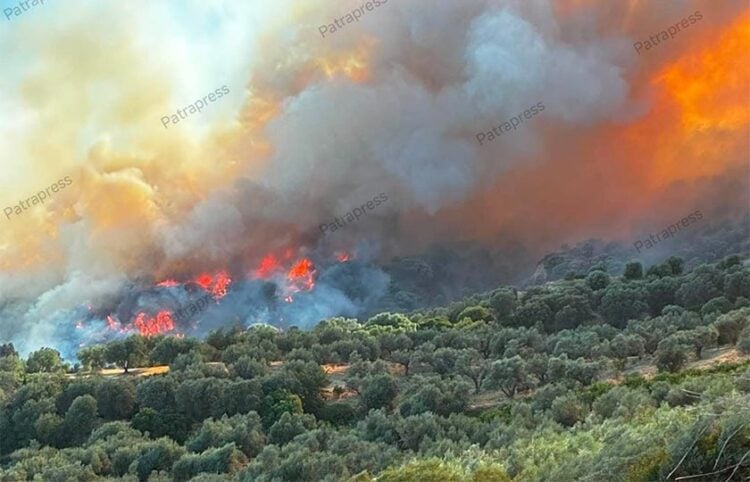 H φωτιά καταπίνει δασική έκταση στην Αιγιαλεία (φωτ.: patrapress.gr)