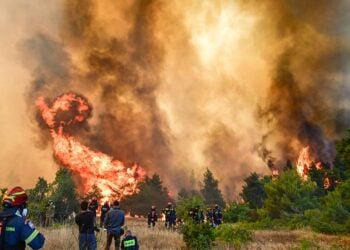 Για 3η ημέρα συνεχίζεται η μάχη με την μεγάλη πυρκαγιά που ξεκίνησε από την Βοιωτία και επεκτάθηκε και στον νομό Αττικής. Κυριακή 2 Αυγούστου 2026 (φωτ.: EUROKINISSI / Τατιάνα Μπόλαρη)