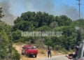 Καπνός από τη φωτιά σε δασική έκταση στην περιοχή Ελιές στις Βολίμες Ζακύνθου. Τρίτη 11 Αυγούστου 2026 (φωτ.: imerazante.gr)