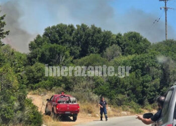 Καπνός από τη φωτιά σε δασική έκταση στην περιοχή Ελιές στις Βολίμες Ζακύνθου. Τρίτη 11 Αυγούστου 2026 (φωτ.: imerazante.gr)