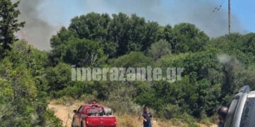 Καπνός από τη φωτιά σε δασική έκταση στην περιοχή Ελιές στις Βολίμες Ζακύνθου. Τρίτη 11 Αυγούστου 2026 (φωτ.: imerazante.gr)