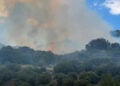Καπνός και φλόγα από τη φωτιά στη Λαμπεία Ηλείας, Δευτέρα 3 Αυγούστου 2026 (πηγή: ilialive.gr)