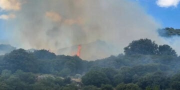 Καπνός και φλόγα από τη φωτιά στη Λαμπεία Ηλείας, Δευτέρα 3 Αυγούστου 2026 (πηγή: ilialive.gr)
