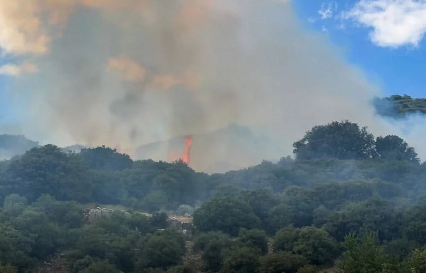 Καπνός και φλόγα από τη φωτιά στη Λαμπεία Ηλείας, Δευτέρα 3 Αυγούστου 2026 (πηγή: ilialive.gr)