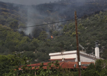 Φωτιά καίει δασική έκταση στην Αγία Σκέπη, στην ευρύτερη περιοχή των Μεγάρων Δυτικής Αττικής, Δευτέρα 3 Αυγούστου 2026 (φωτ.: ΑΠΕ-ΜΠΕ / Γιάννης Κολεσίδης)