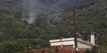Φωτιά καίει δασική έκταση στην Αγία Σκέπη, στην ευρύτερη περιοχή των Μεγάρων Δυτικής Αττικής, Δευτέρα 3 Αυγούστου 2026 (φωτ.: ΑΠΕ-ΜΠΕ / Γιάννης Κολεσίδης)